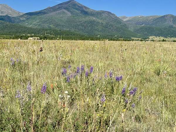 44 Acres of Land for Sale in Westcliffe, Colorado