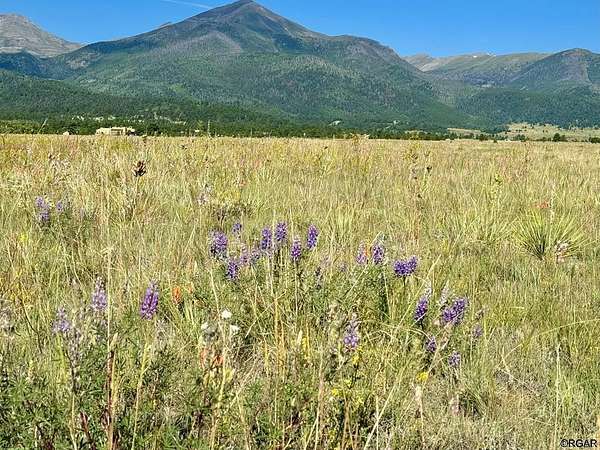 44 Acres of Recreational & Residential Land for Sale in Westcliffe, Colorado