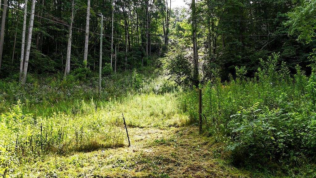 1.23 Acres of Residential Land for Sale in Sylva, North Carolina