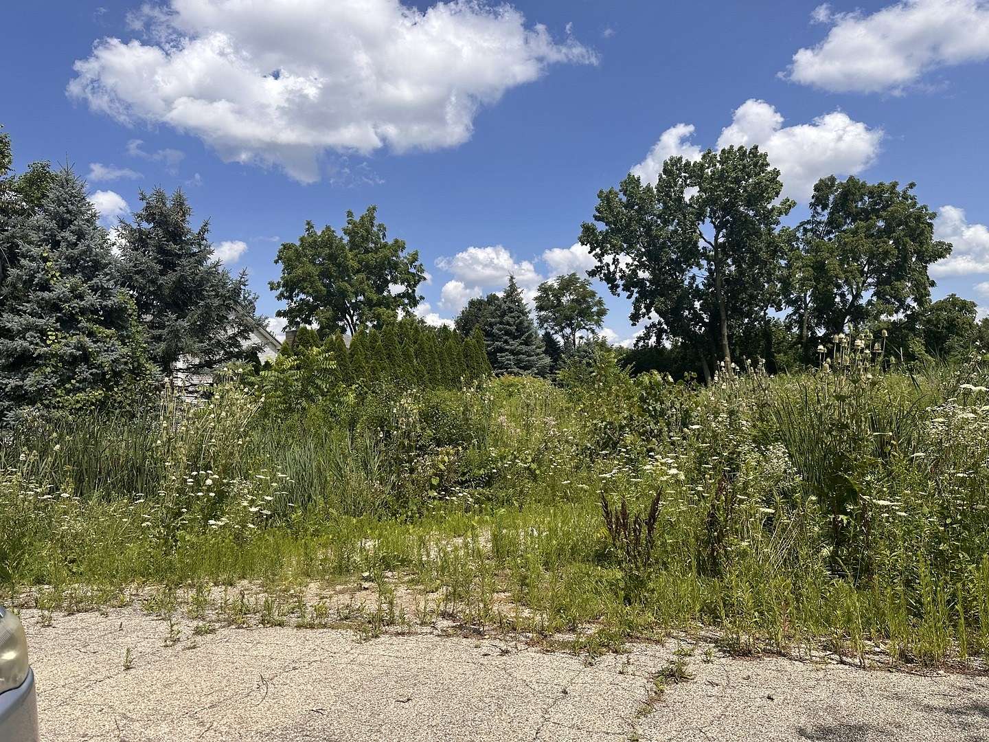 0.46 Acres of Residential Land for Sale in Roselle, Illinois