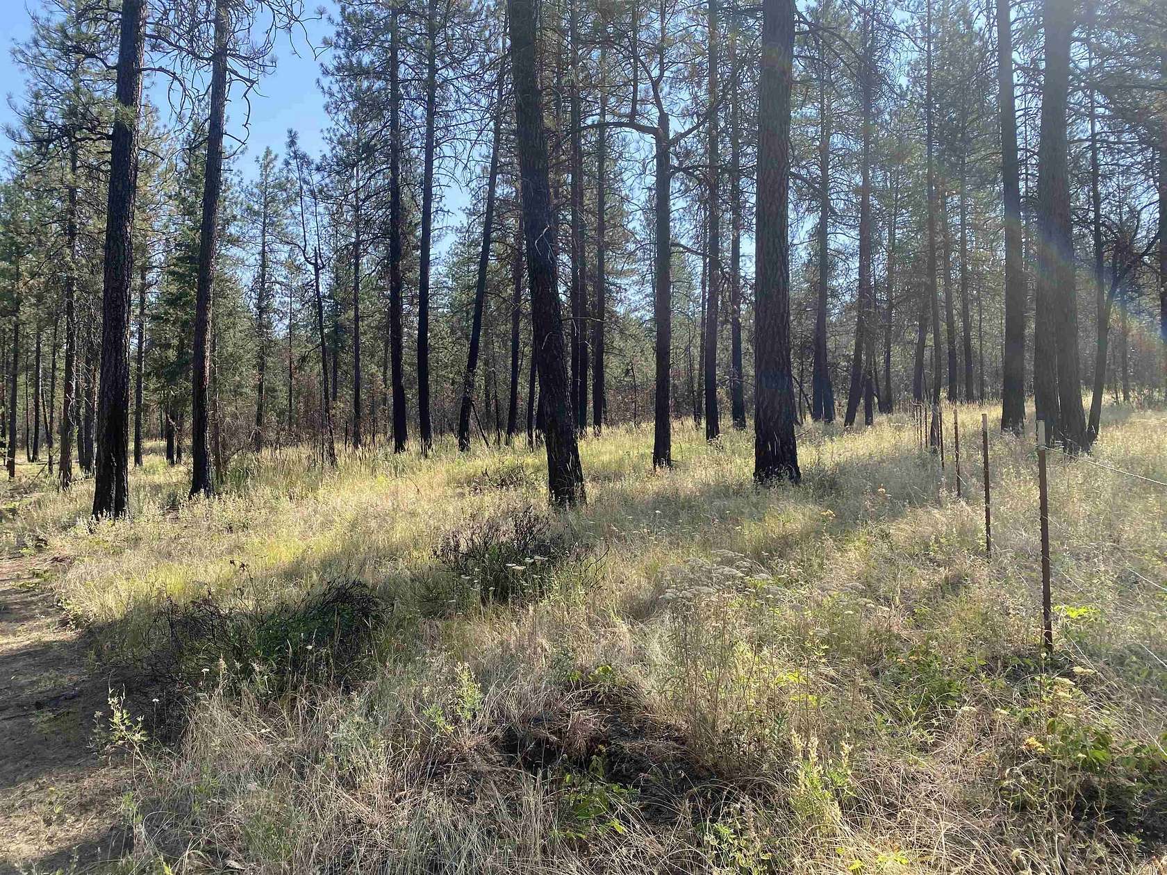 5 Acres of Land for Sale in Elk, Washington