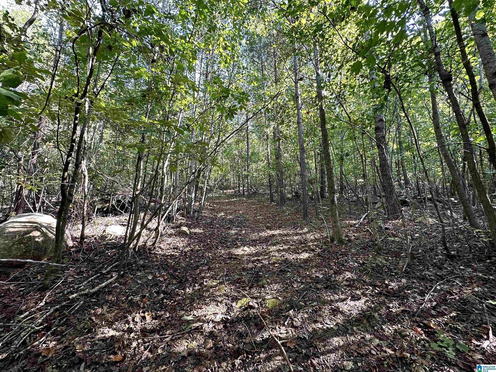22.8 Acres of Recreational Land for Sale in Ohatchee, Alabama
