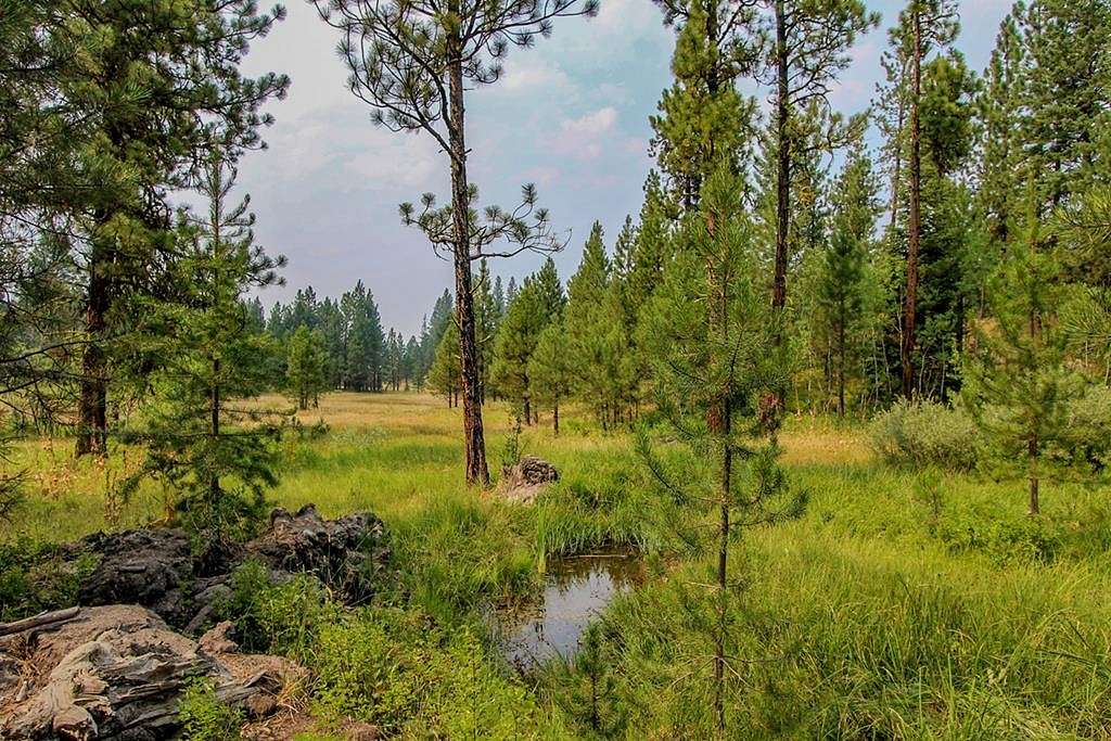 3.31 Acres of Land for Sale in Cascade, Idaho