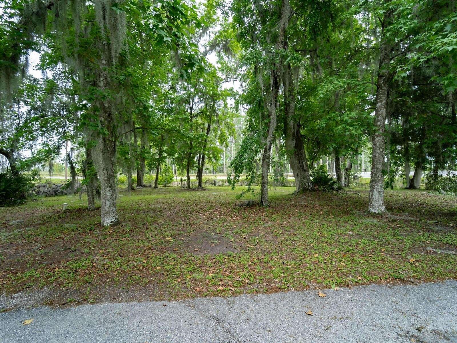 0.12 Acres of Residential Land for Sale in Wildwood, Florida