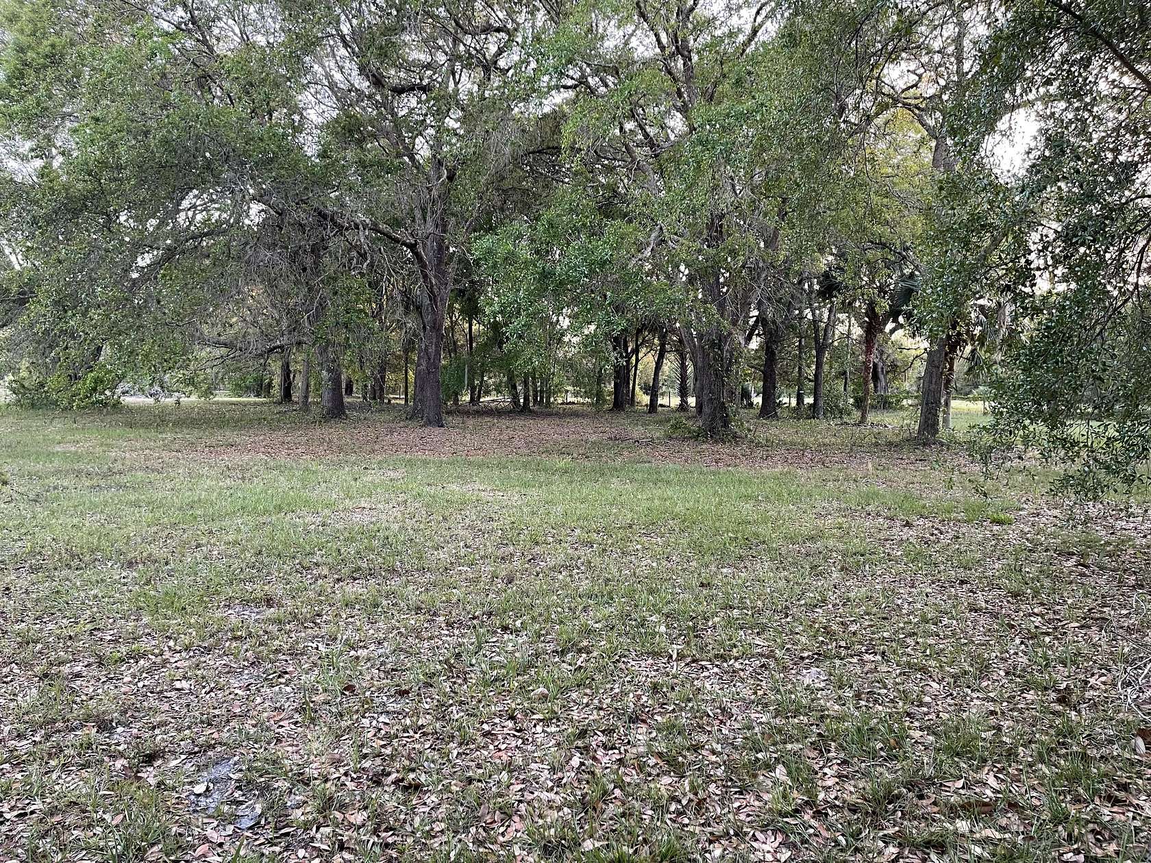 4.19 Acres of Residential Land for Sale in Mims, Florida