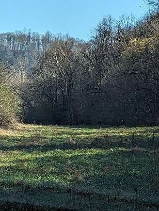 90.93 Acres of Recreational Land for Sale in Gainesboro, Tennessee