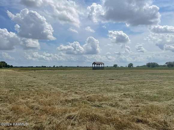 12.65 Acres of Land for Sale in Rayne, Louisiana