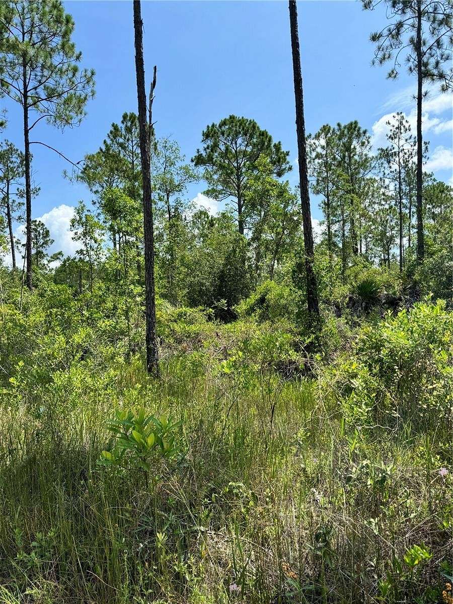 0.46 Acres of Residential Land for Sale in Satsuma, Florida