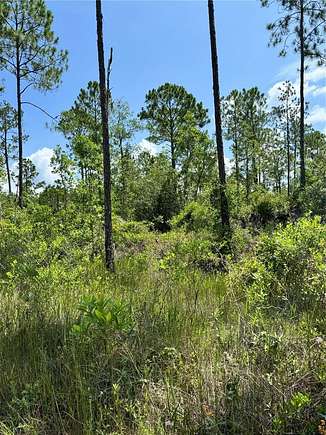 0.46 Acres of Residential Land for Sale in Satsuma, Florida