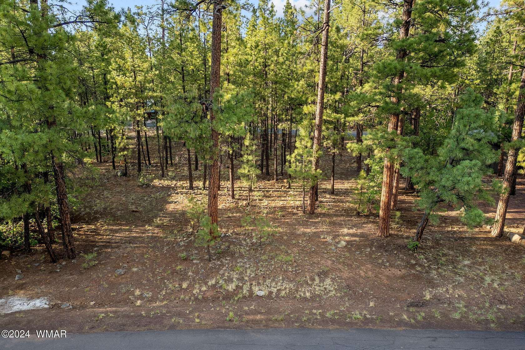 0.38 Acres of Residential Land for Sale in Pinetop, Arizona