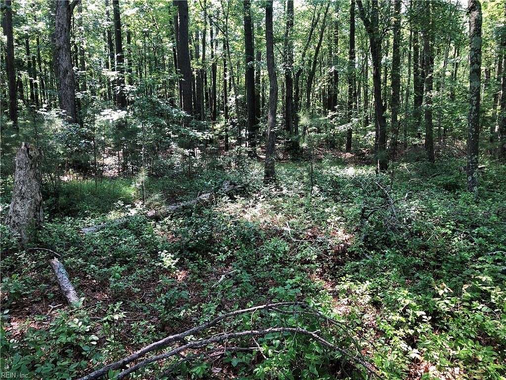 7.1 Acres of Residential Land for Sale in Exmore, Virginia