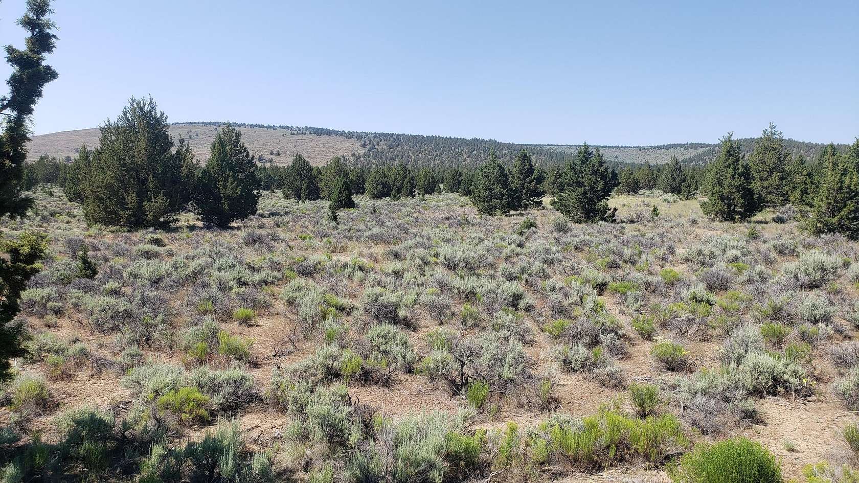 12.6 Acres of Recreational Land for Sale in Bend, Oregon