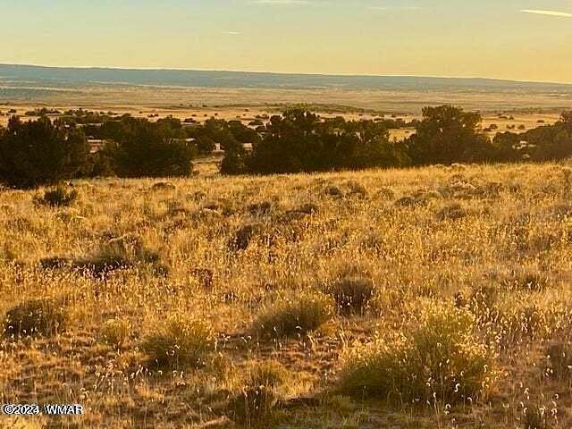 255.05 Acres of Agricultural Land for Sale in Sanders, Arizona