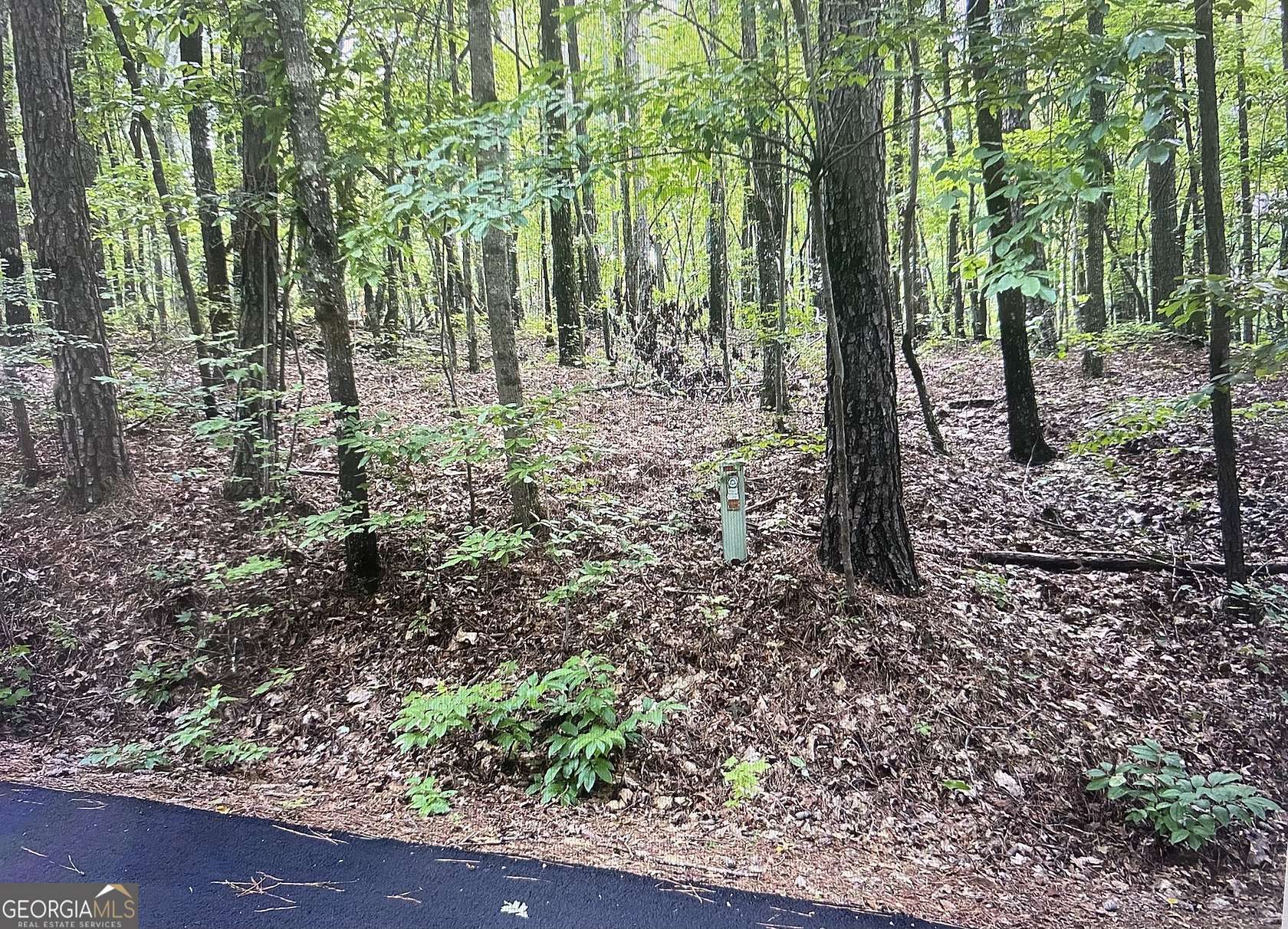 0.28 Acres of Residential Land for Sale in Villa Rica, Georgia