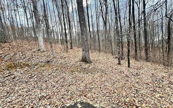 1.18 Acres of Residential Land for Sale in Hiawassee, Georgia