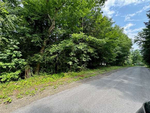 0.31 Acres of Land for Sale in Butternuts Town, New York