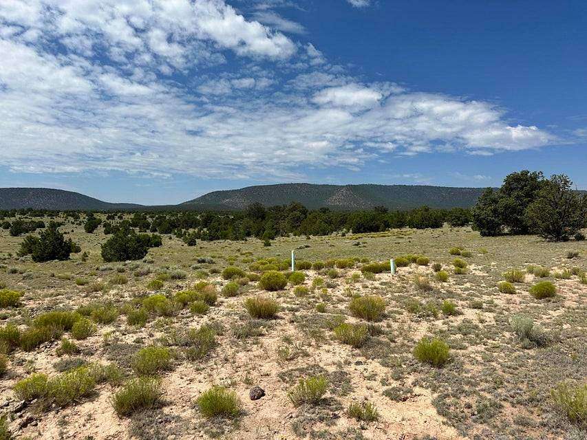 80 Acres of Land for Sale in Quemado, New Mexico