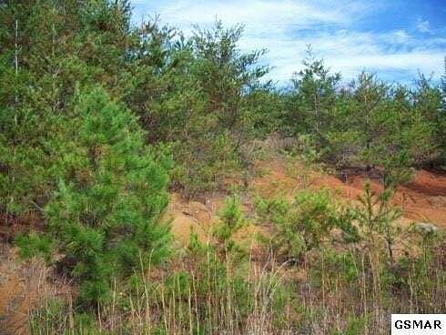 1.03 Acres of Land for Sale in Cosby, Tennessee