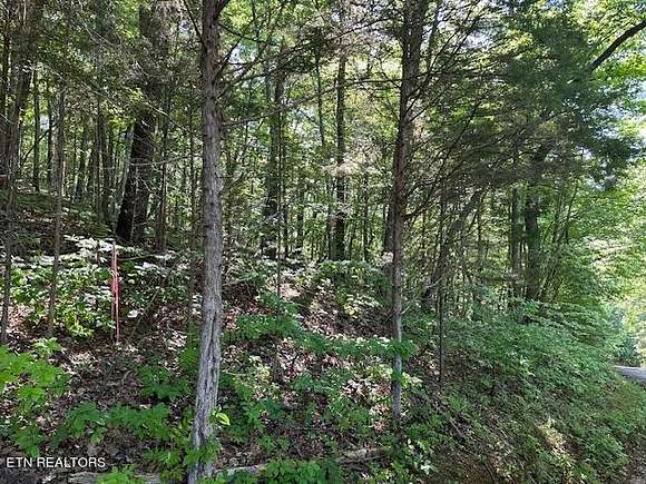 9.17 Acres of Residential Land for Sale in Andersonville, Tennessee