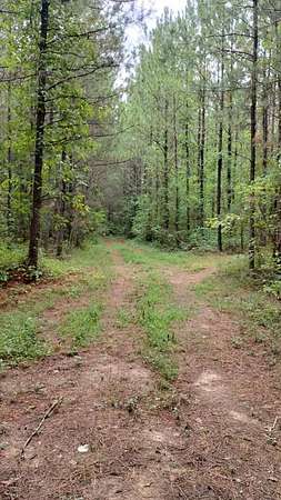 42 Acres of Recreational & Residential Land for Sale in Dalton, Georgia