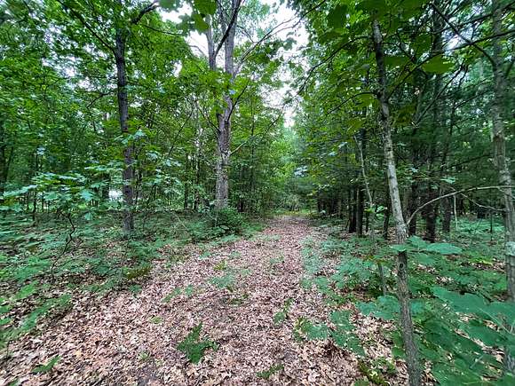 20 Acres of Recreational Land for Sale in Fennville, Michigan