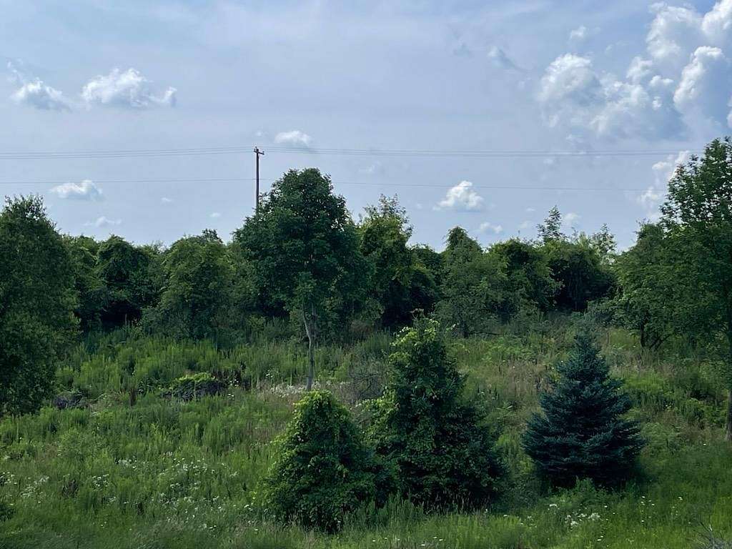 3.36 Acres of Land for Sale in Casnovia, Michigan