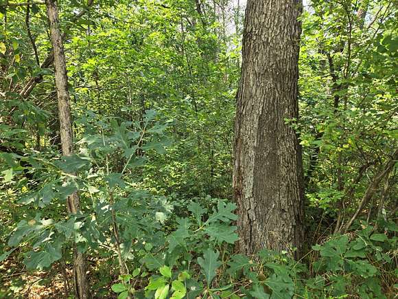 4.48 Acres of Land for Sale in Idlewild, Michigan