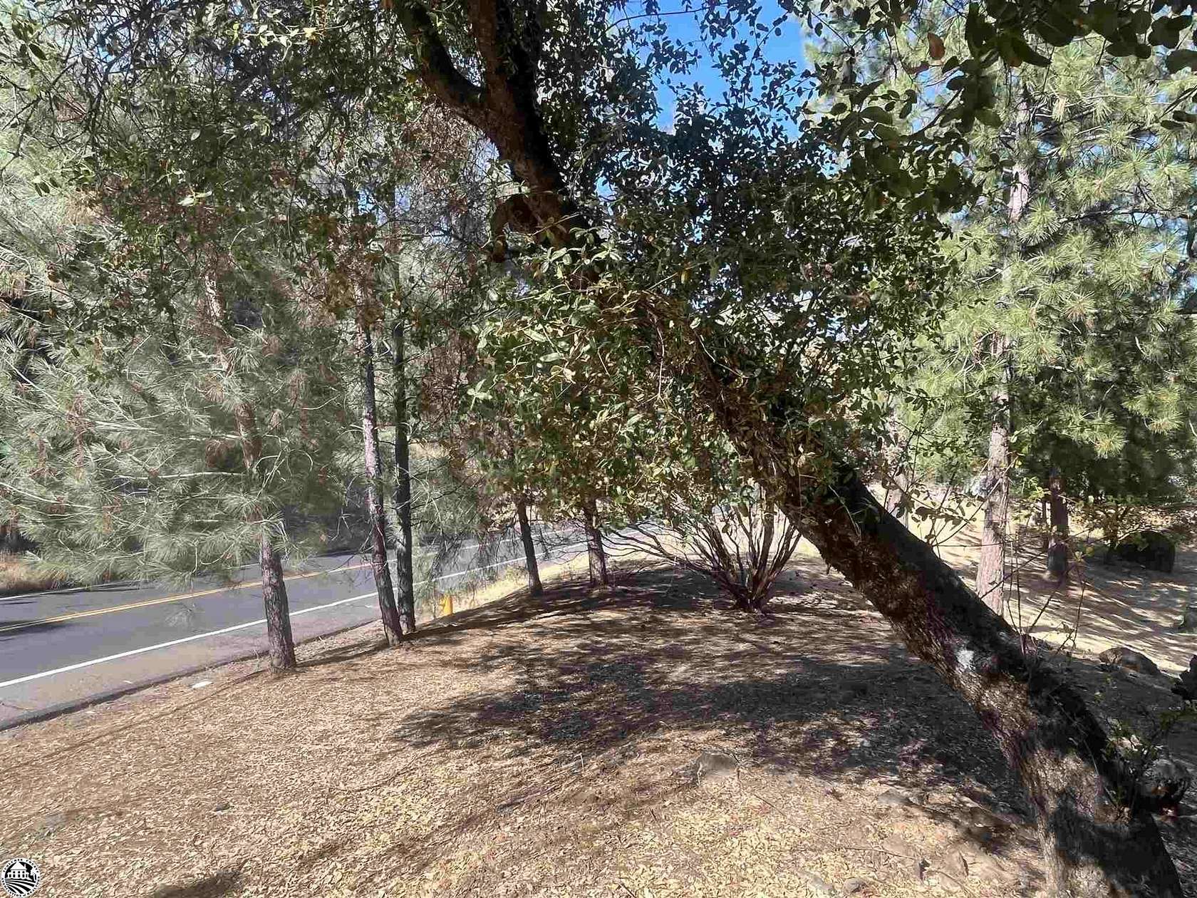 0.37 Acres of Residential Land for Sale in Groveland, California