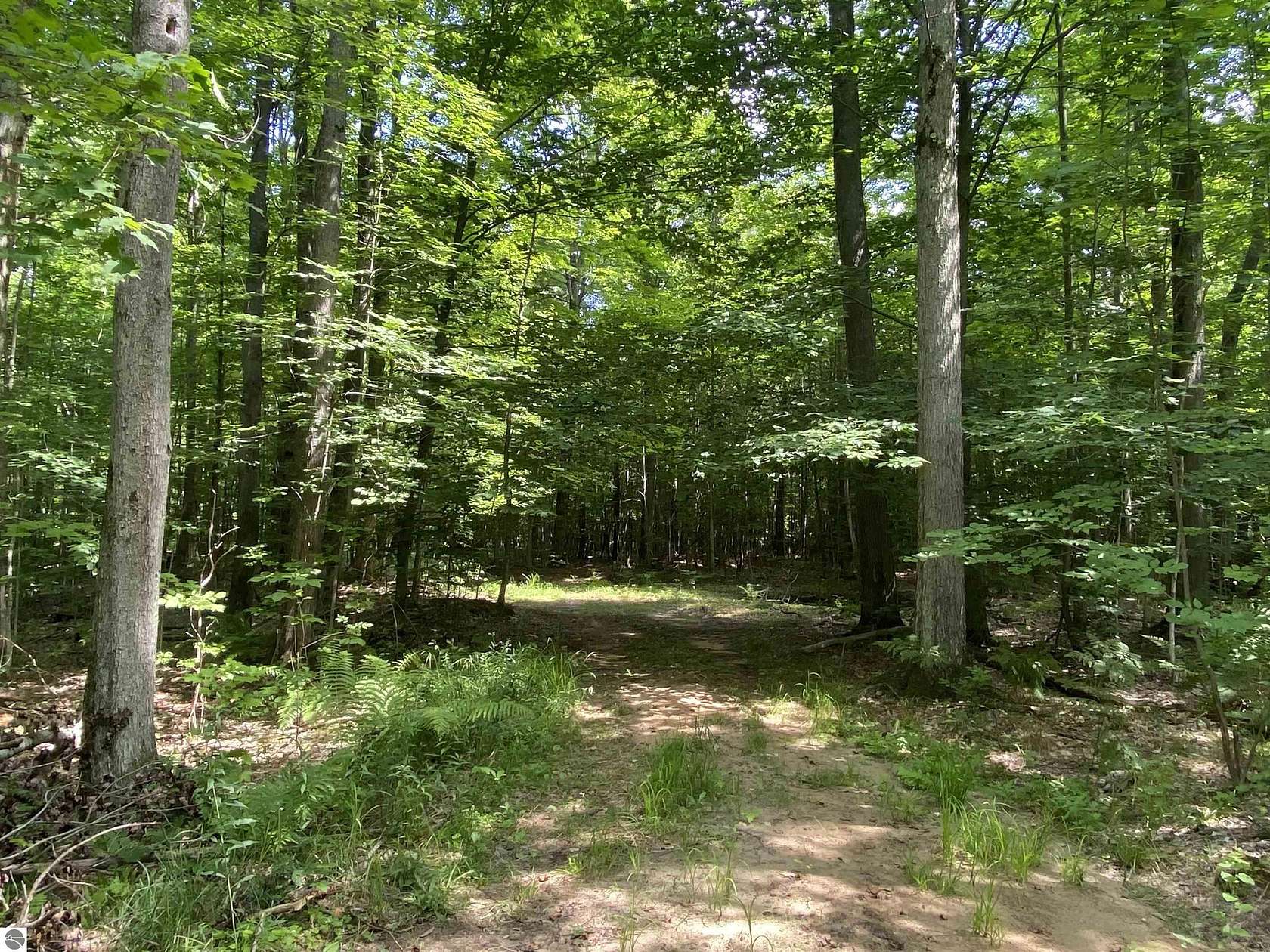 10 Acres of Recreational Land for Sale in Benzonia, Michigan