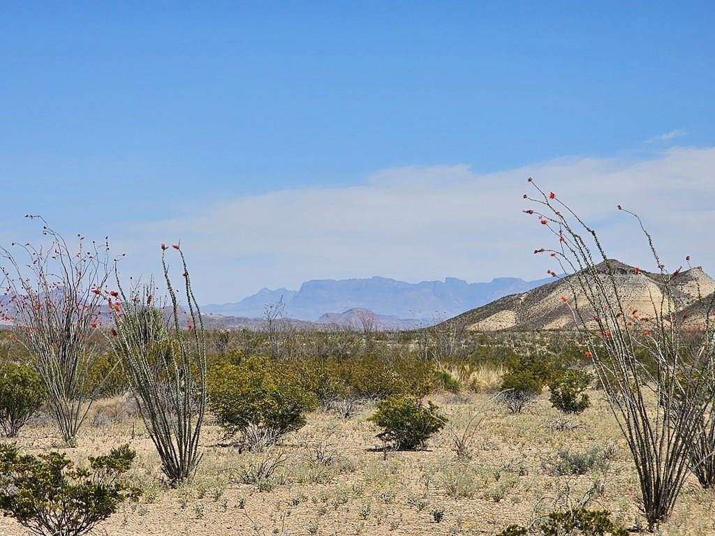 10 Acres of Land for Sale in Terlingua, Texas