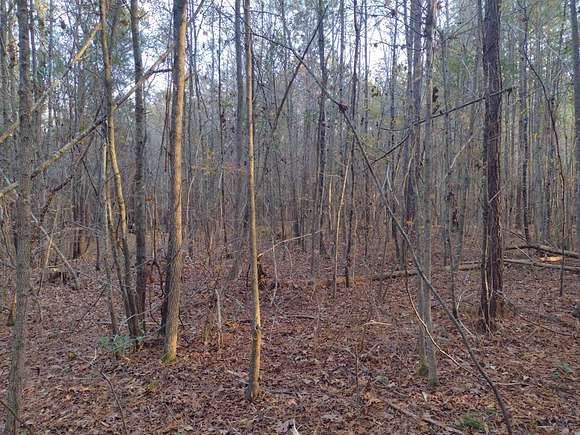 6.15 Acres of Land for Sale in Summerton, South Carolina