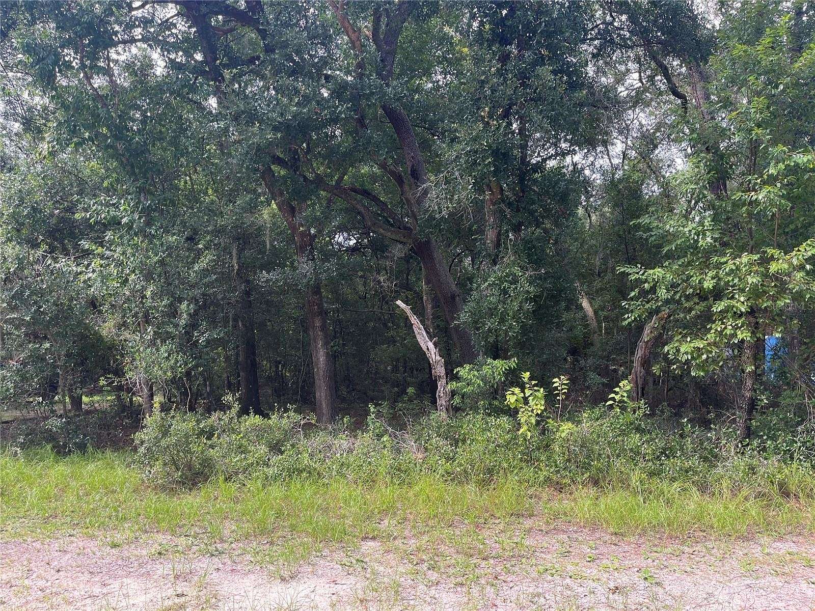 0.26 Acres of Residential Land for Sale in Altoona, Florida