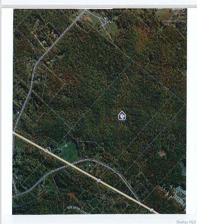 65.9 Acres of Recreational Land for Sale in Wawarsing, New York