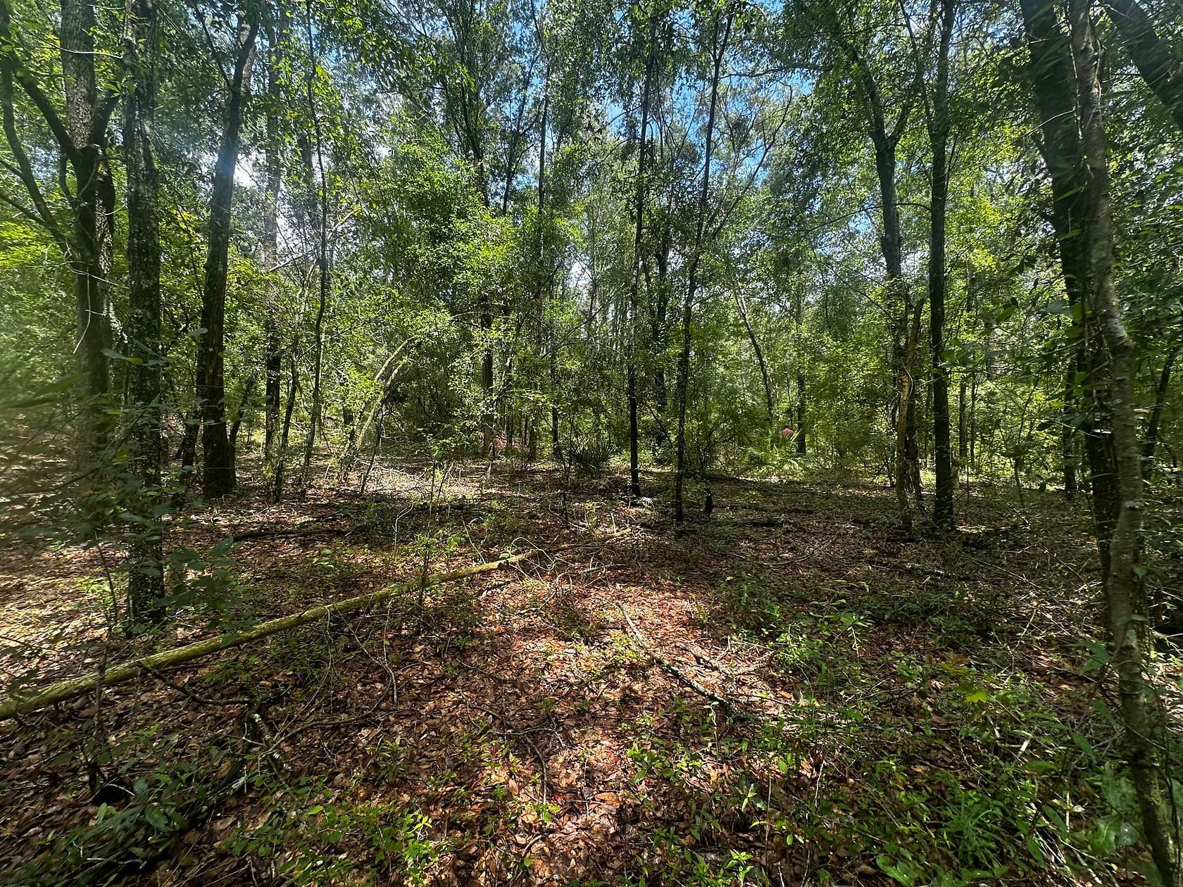 2.13 Acres of Land for Sale in Lee, Florida