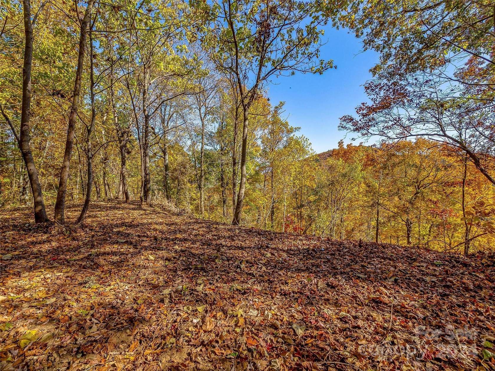 1.46 Acres of Residential Land for Sale in Asheville, North Carolina