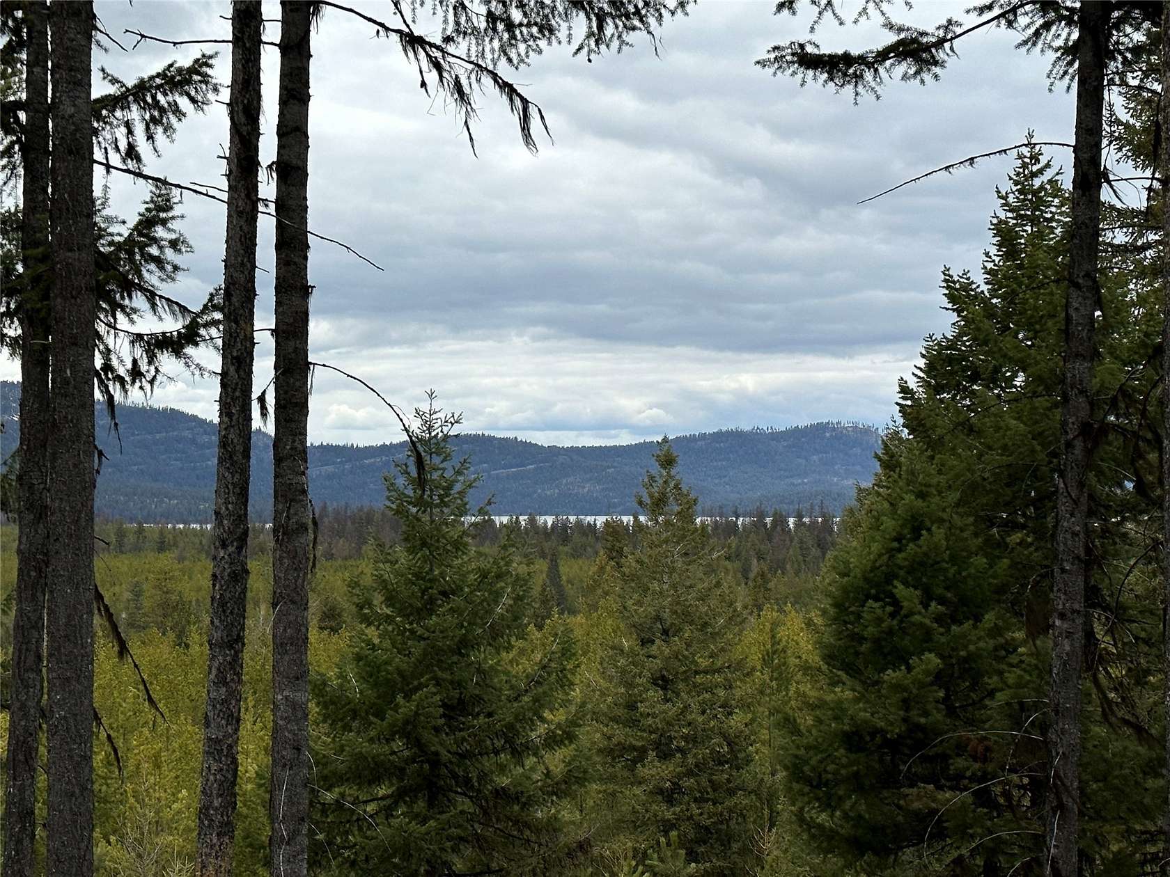 20.001 Acres of Recreational Land for Sale in Marion, Montana