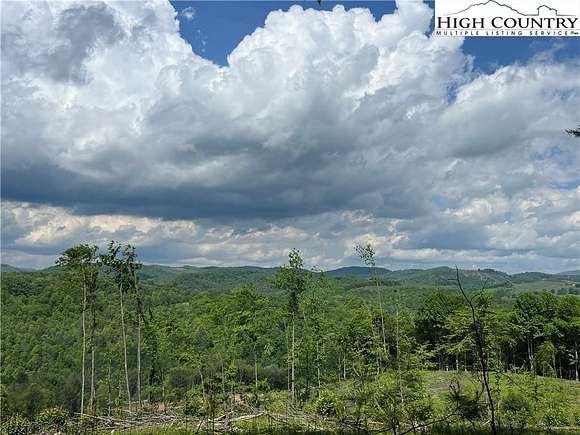 49.92 Acres of Recreational Land for Sale in Scottville, North Carolina