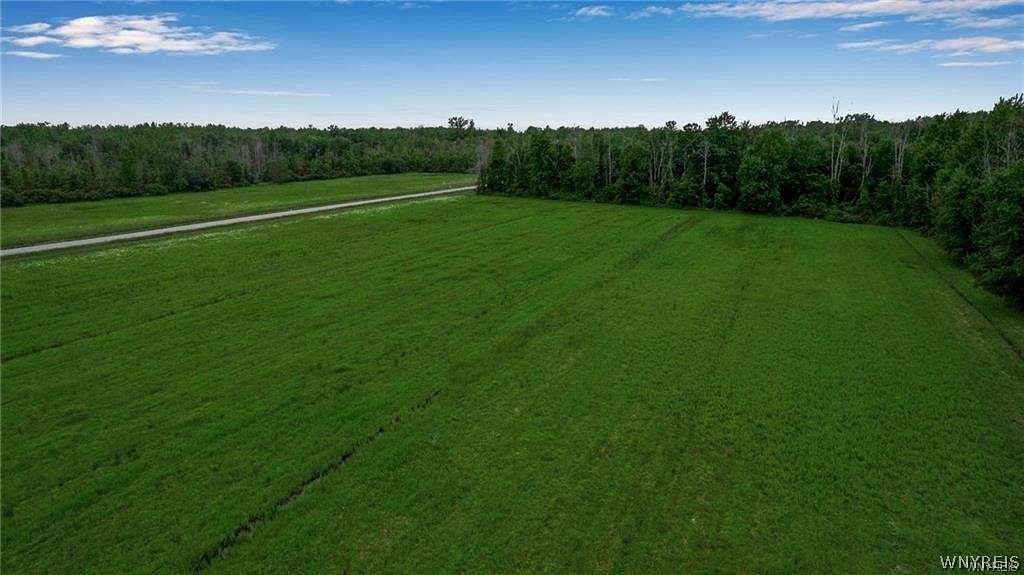 25.7 Acres of Agricultural Land for Sale in Clarence, New York