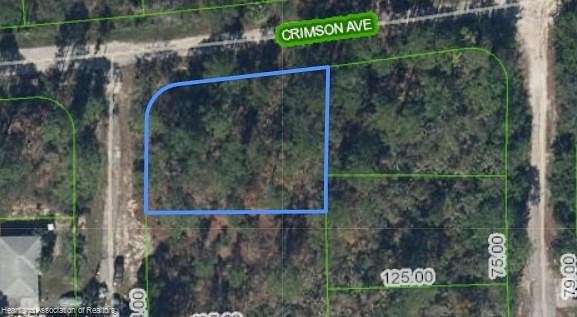 0.27 Acres of Residential Land for Sale in Lake Placid, Florida