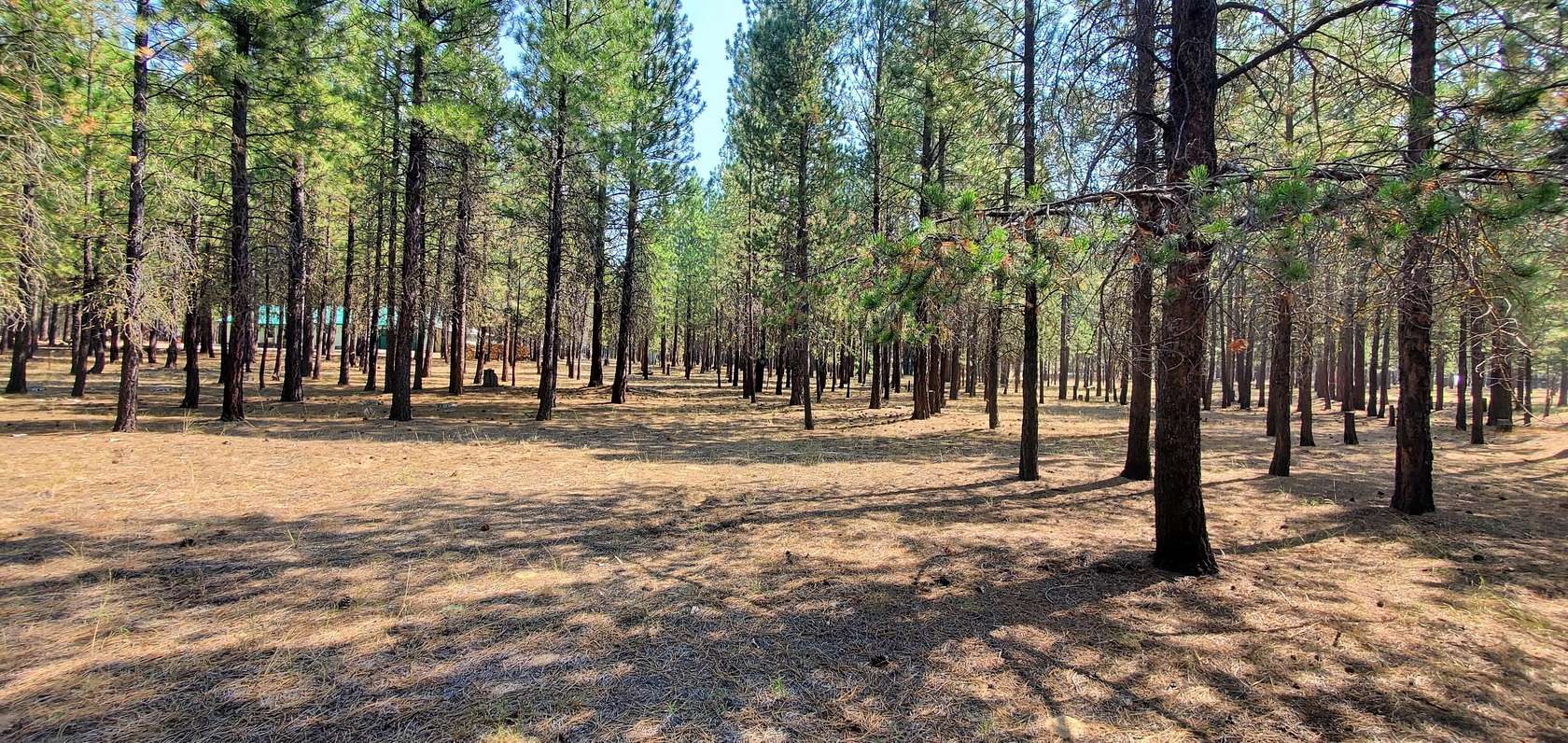 1.71 Acres of Residential Land for Sale in La Pine, Oregon