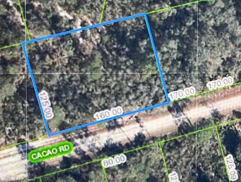 0.45 Acres of Residential Land for Sale in Lake Placid, Florida