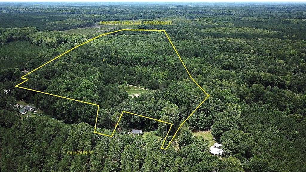 72.5 Acres of Recreational Land for Sale in Branchville, South Carolina