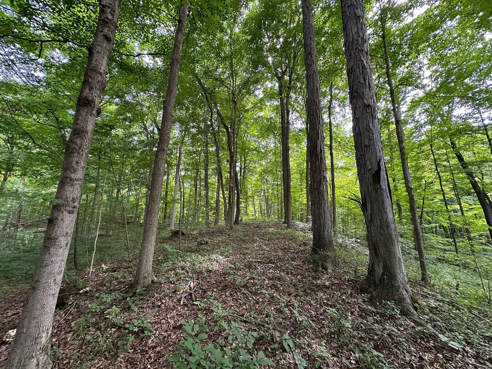 69 Acres of Recreational Land for Sale in Rockville, Indiana