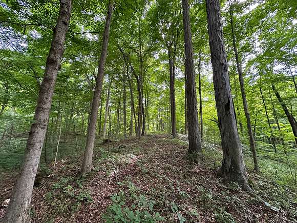 69 Acres of Recreational Land for Sale in Rockville, Indiana