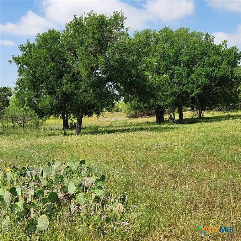 50.575 Acres of Agricultural Land for Sale in Kempner, Texas