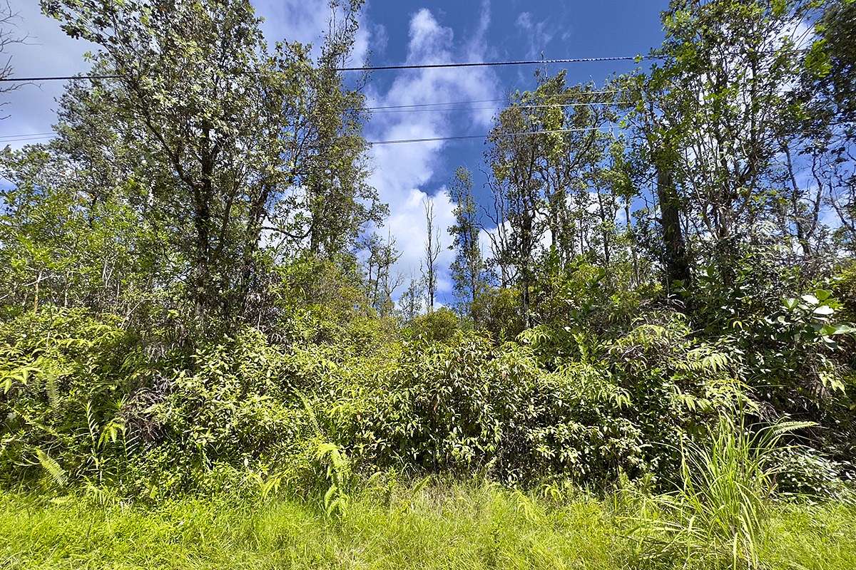 2 Acres of Residential Land for Sale in Kurtistown, Hawaii