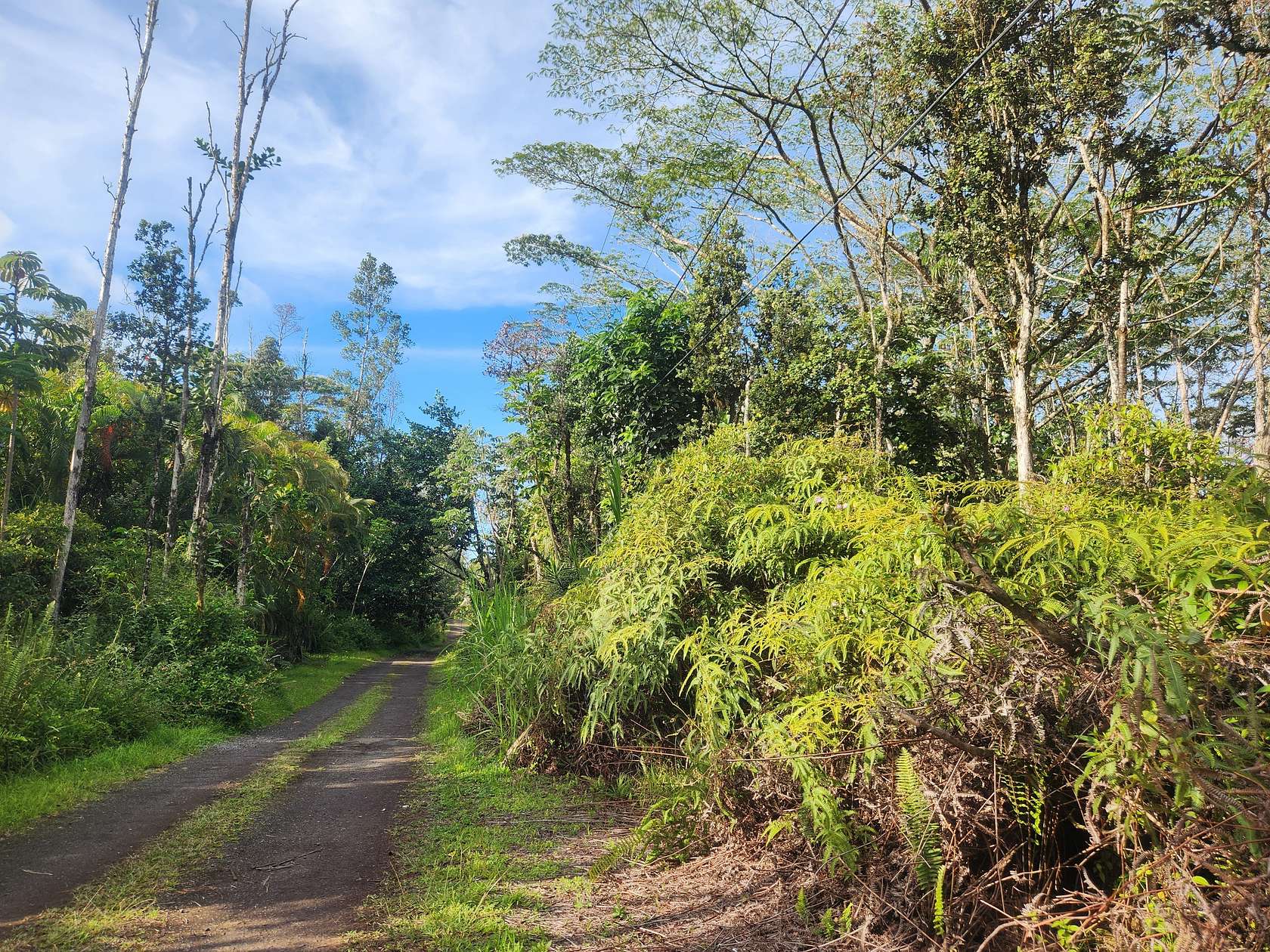 2 Acres of Land for Sale in Pahoa, Hawaii