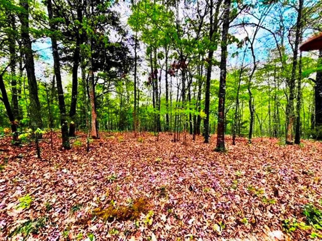 10.2 Acres of Land for Sale in Viola, Arkansas