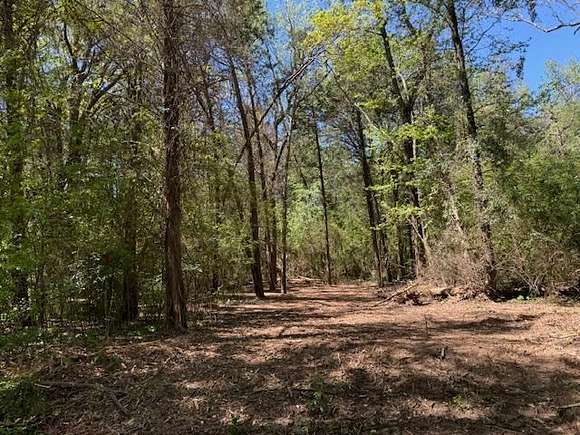 5 Acres of Land for Sale in Mount Pleasant, Texas