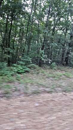 14.03 Acres of Recreational Land & Farm for Sale in Rector, Arkansas